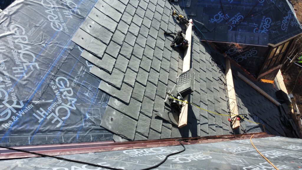 dcim100mediadji 0530.jpg